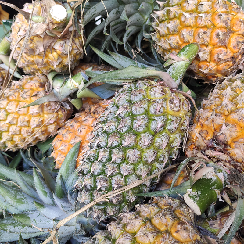 Thơm trái nhỏ (1 trái)